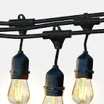 Brightech Ambience Pro Edison Black LED Waterproof Outdoor String Lights, 48 ft.