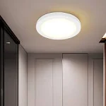 Lecoht 5 in. LED Flush Mount 3 Color Ceiling Light Fixture