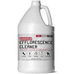 RadonSeal Efflorescence Remover - Cleans Efflorescence, Mortar Haze, Lime Deposits, and Rust Stains. No Odor, Safe for Use Indoors & Outdoors