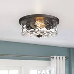 Indoor Flush Mount Lights, 2-Lights Interior Exterior Ceiling Lights Fixture, An