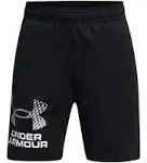 Under Armour Boys' Tech Logo Shorts