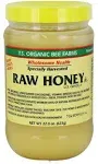 Y.S. Eco Bee Farms Honey-Raw - 22.0 oz