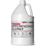 RadonSeal Efflorescence Remover - Cleans Efflorescence, Mortar Haze, Lime Deposits, and Rust Stains. No Odor, Safe for Use Indoors & Outdoors