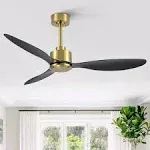 Breezary Lightless 52-in Gold with Abs Blades Indoor/Outdoor Propeller Ceiling Fan and Remote (3-Blade)