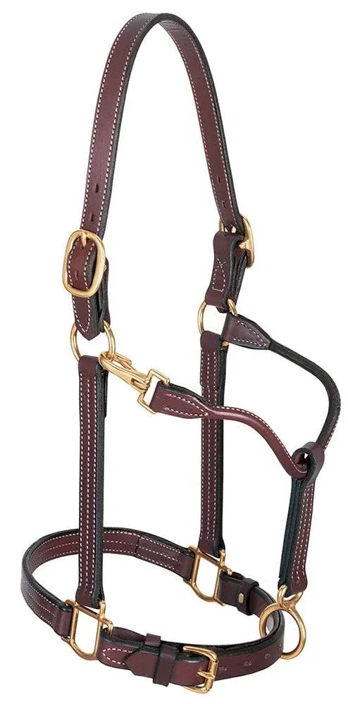 Weaver Leather Track Horse Halter, Mahogany, 1-in Large