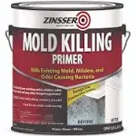 Zinsser Mold Killing Primer