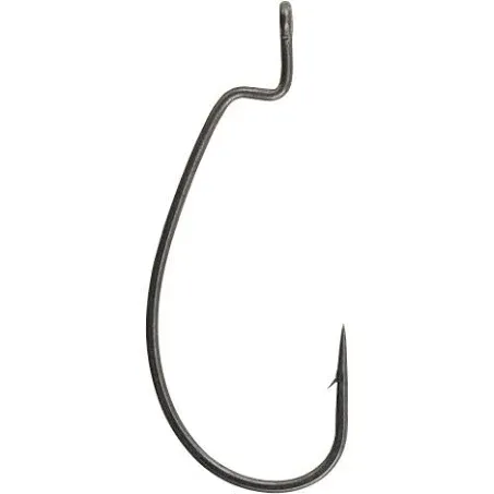 Berkley Fusion19 EWG Hook