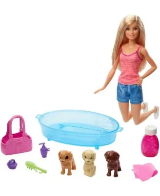 Barbie Doll & Accessories