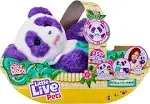 2022 Little Live Pets Pedals the Cozy Dozys PANDA with 25+ Interactive Sounds