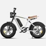 ENGWE M20 Electric Bike