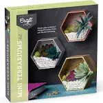 Mini Terrariums Kit