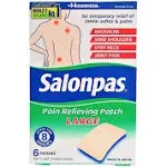 Salonpas Pain Relieving Patch, Large - 6 patches