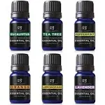 Radha Beauty Aromatherapy Top 6 Essential Oils - 100% Natural Basic Gift Set for Aromatherapy, Diffusers, Massage, Candle Making