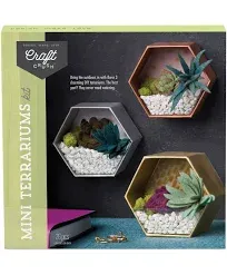 Ann Williams Craft Crush Mini Terrariums Kit