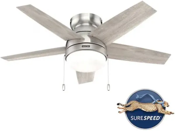 Alexander with LED 44 inch Ceiling Fan