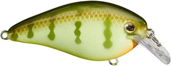 Strike King KVD 1.5 Silent Square Bill Crankbaits