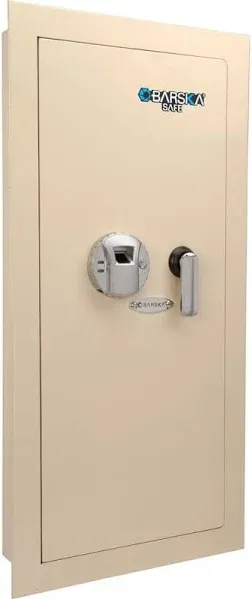 Barska Large Biometric Wall Safe