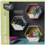 Mini Terrariums Kit