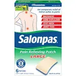 Salonpas Pain Relieving Patch, Large - 6 patches