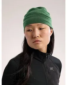 Arc'teryx Rho Lightweight Wool Toque