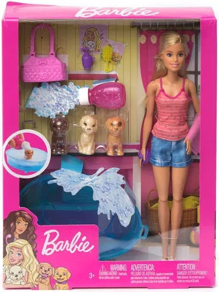 Barbie Doll & Accessories