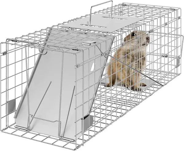 Live Animal Cage Trap 24 in. x 8 in. x 8 in. Humane Trap Folding With Handle