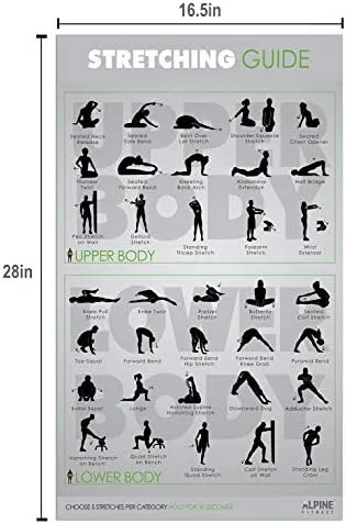 Alpine Fitness Exercise Poster Bundle