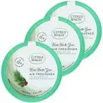 Holiday Odor Absorbing Solid Air Freshener Winter Wonder Green 7-Ounce Pack of 3