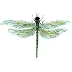 Screen Door Saver Magnets - Made in USA - Keep People and Pets from Running Into Screen Doors & Patch Small Holes - Dragonfly - 15.8 x 10.7 cm - Pack