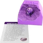 Dig a Dozen Gem Blocks Mining Kit for Kids - Discover 12 Unique Real Gemstone...