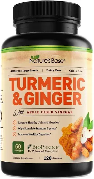 Turmeric and Ginger Supplement - Turmeric Curcumin Pills - with Apple Cider Vinegar & Bioperine Black Pepper - 95% Curcuminoids -120 Capsules