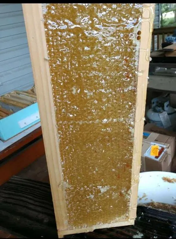 Tupelo Honey 1 Lb