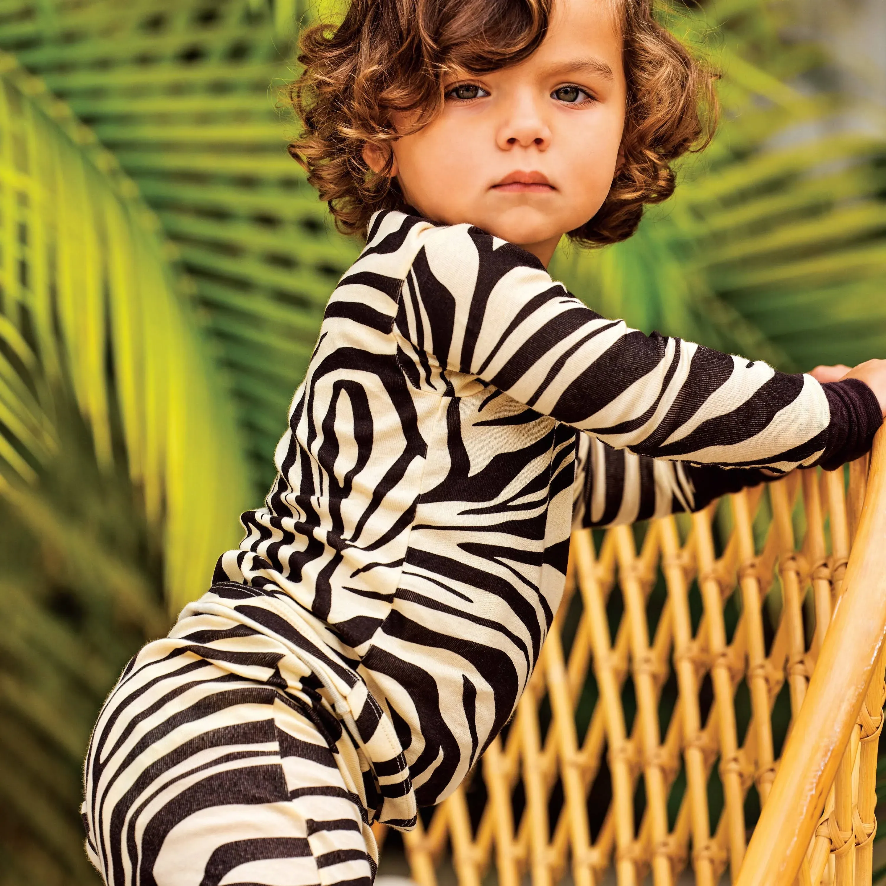 Honest Baby Clothing 4-Piece Long Sleeve PJ Set Brown Zebra / 12M