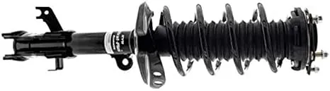 Strut and Coil Spring Assembly