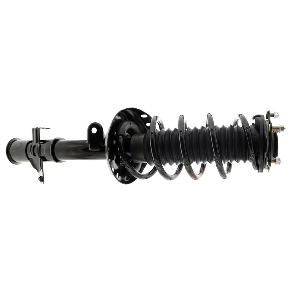 Strut and Coil Spring Assembly