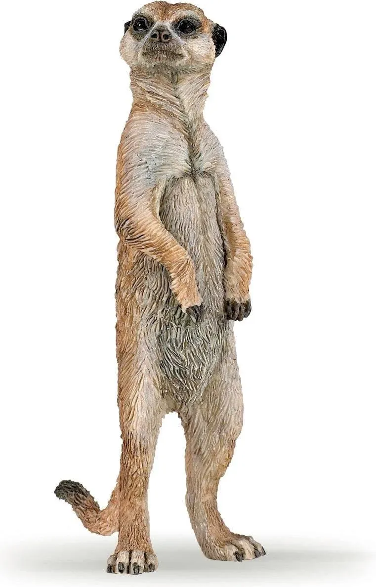 Papo -Hand-Painted - Figurine -Wild Animal Kingdom - Standing Meerkat -50206 -Collectible - for Children - Suitable for Boys and Girls- from 3 Years Old