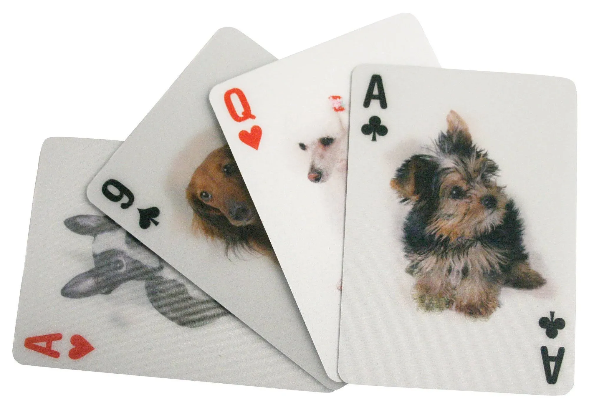 Playing Cards Dogs 3D