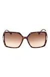 59mm Polarized Butterfly Sunglasses In Brown