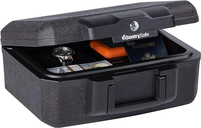 SentrySafe Fireproof Money Safe