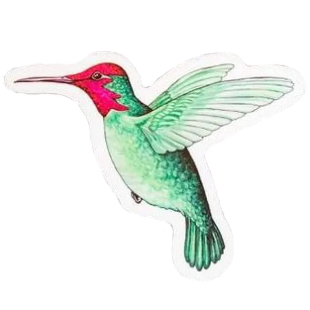 Screen Magnets - Keep People and Pets from Running Into Screen Doors & Patch Holes with Screen Door Magnets - Made in USA - Hummingbird - 5.25 x 4.75 inches - 2 Pack (1 Pair)