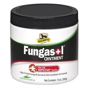 Fungasol Ointment, 13oz