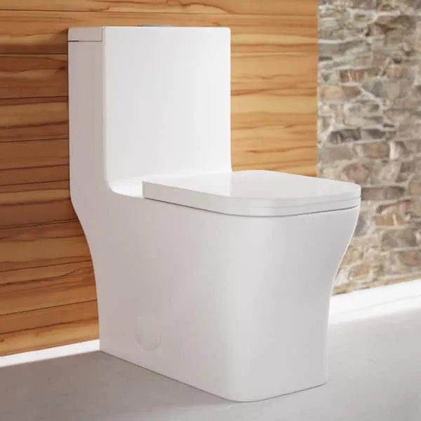 Concorde 1.6 GPF Dual Flush One Piece Elongated Toilet with Push Button Flush - Seat Included